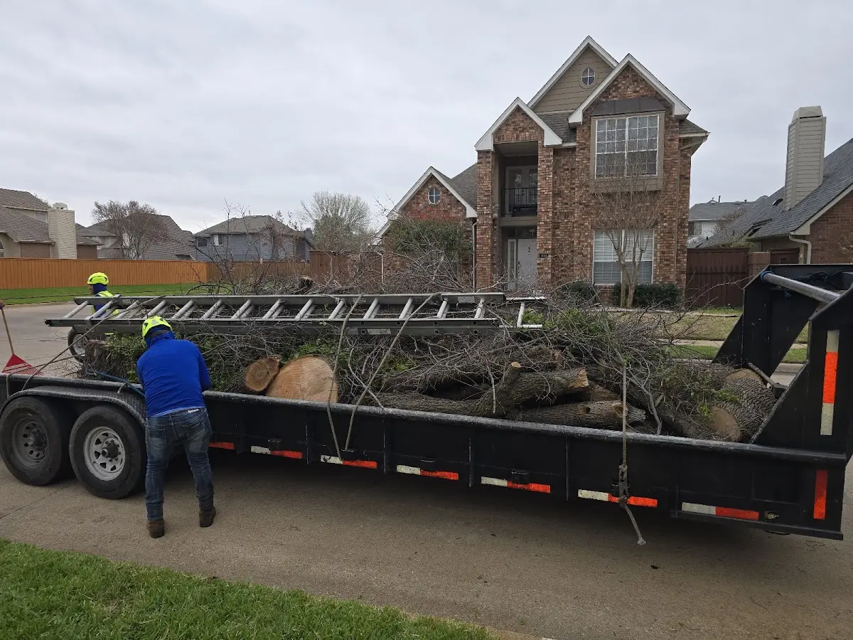 Expert Tree Fertilization with proper safety equipment in Ada